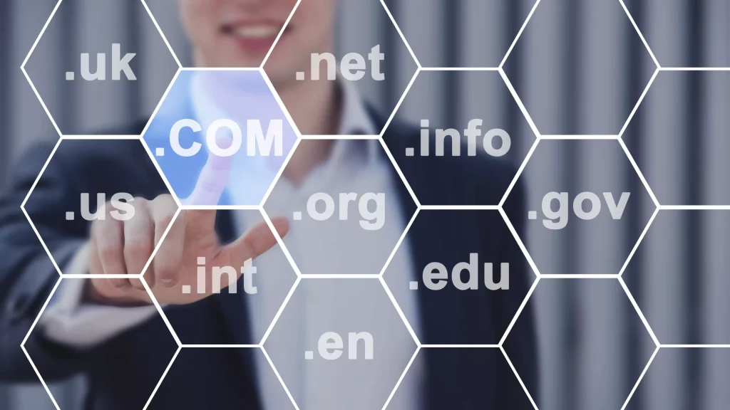 domain name
